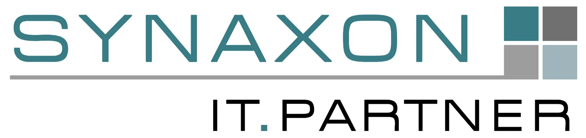 SYNAXON IT.PARTNER